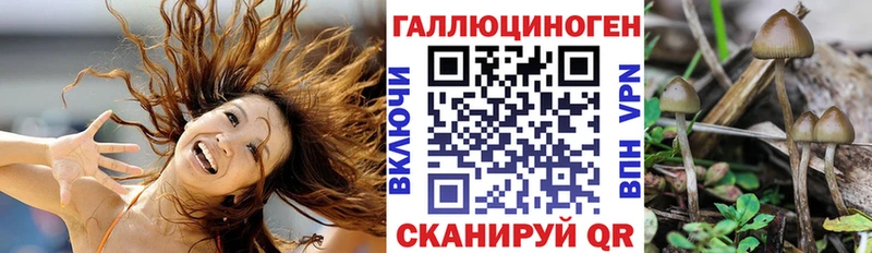 Галлюциногенные грибы прущие грибы  Апатиты 